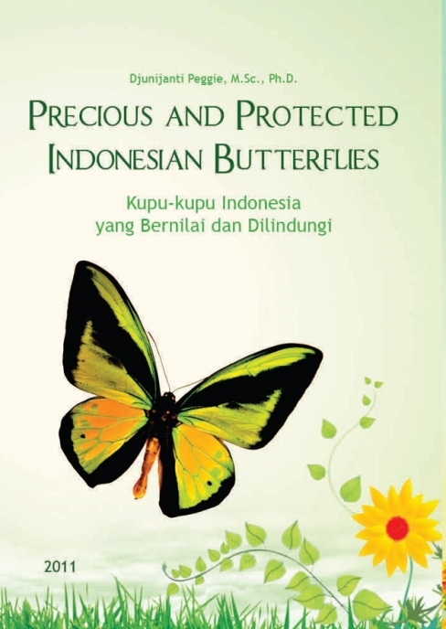 Precious and Protected Indonesian Butterflies
